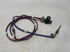 Heitgaasi temperatuuriandur - 226580823R