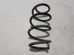 Front spring - A4203210300