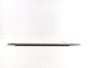 Rear side door outer window molding - 7473261
