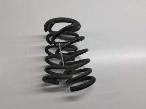 Rear spring - 31329366