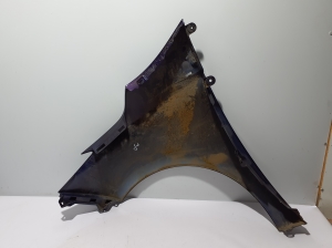RENAULT Zoe (2012–2026) Front fender 631009208R - 2