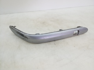 Front bumper trim strip - A2038851821
