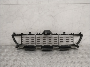 Grille inférieure de pare-chocs avant - 8054503