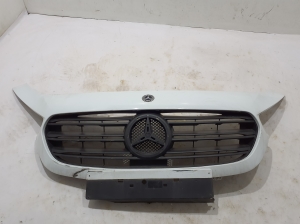   Front grille  - A4205030000 