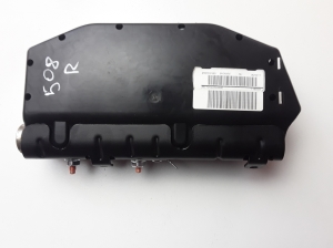 Peugeot 508 (2010–2017) Priekšējā sēdekļa drošības spilvens 9686337480 - 3