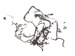   Engine wiring harness  -  