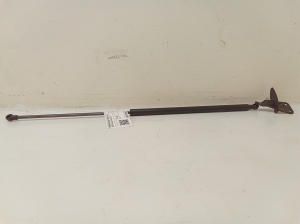 Trunk lid strut - 