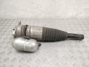   Stoßdämpfer hinten  - 4N0616001L 