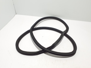 Rear side door seal on the door - 