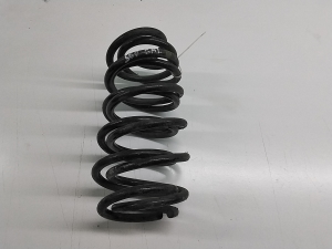 Rear spring - 31304057