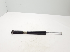   Stoßdämpfer hinten 