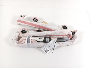   Dachairbag  - 11A880741J 
