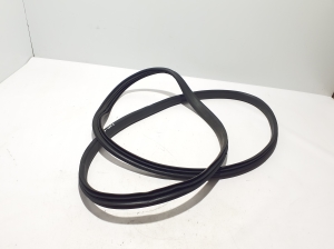   Front door rubber seal  - 808326905R 