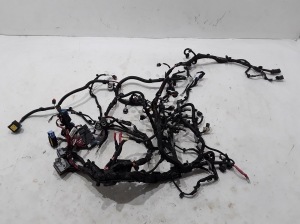Engine wiring harness - 240119202S