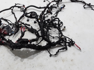 RENAULT Express IV (2021–2026) Engine wiring harness 240119202S - 2