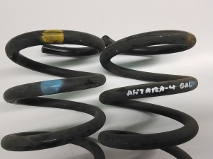 Opel Antara (2006–2017) Rear spring 95096692 - 2