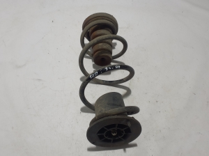   Rear spring  - 550204946R 