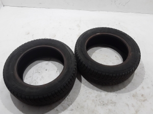   Tires, R-16 (Winter)  - 21555R16 