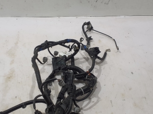 Subaru Forester SK (2018–2026) Engine wiring harness 24020AG900 - 4