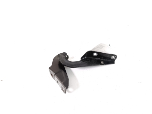   Kapoti hing  - MN175241 