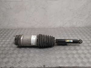 Stoßdämpfer hinten - 102706700C