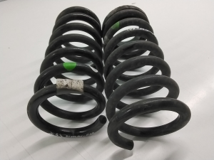 Ford Mondeo V (2014–2018) Rear spring 1863345 - 2