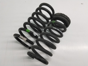 Rear spring - 1863345