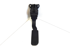   Accelerator pedal  - A9073010200 