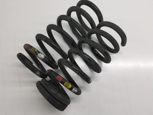 Rear spring - 1946178