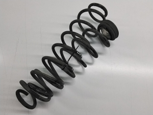 Rear spring - 9836062680