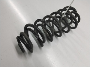 AUDI Q5 (2008–2017) Rear spring 8R0511115BQ - 2
