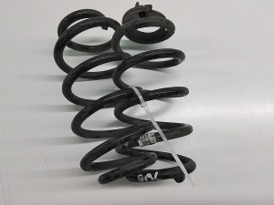 Rear spring - 6871665