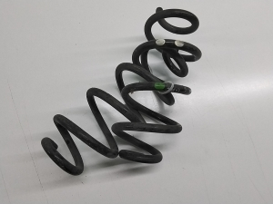 NISSAN X-Trail T32 (2013–2021) Rear spring 550204BD0A - 4