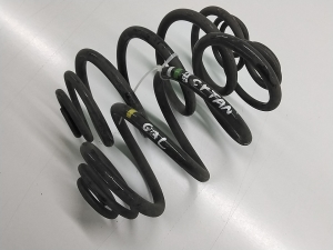 Mercedes Benz Citan 415 (2012–2021) Rear spring A4153241904 - 4