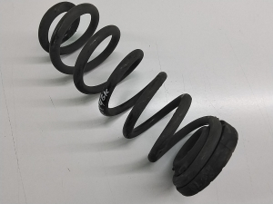 Rear spring - 55350D7CA0