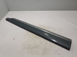   Front door strip 