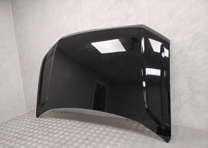 Motorhaube - 2GM823155B