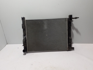 Jahutusradiaator - 214100078R