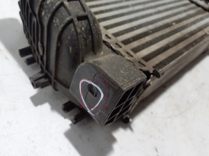 Dacia Duster (2010–2017) Vahejahuti radiaator 144961381R - 2