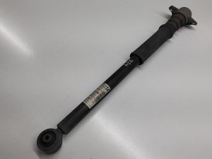 Seat Ibiza 6J5,6P1 (2008–2017) Stoßdämpfer hinten 6R0513025 - 2