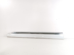   Front door strip 
