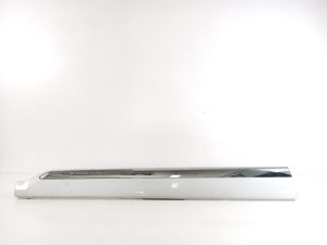  Front door strip 