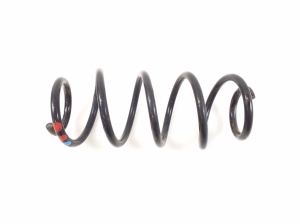   Rear spring 