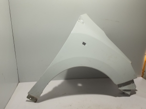 Dacia Lodgy (2012–2026) Front fender 631010436R - 4