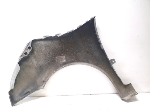 Citroen C4 Picasso (2007–2013) Front fender - 2