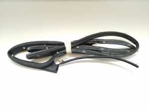 Rear side door seal on the door - 