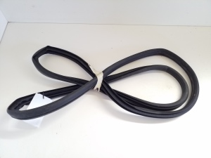 NISSAN Juke F15 (2010–2018) Rear side door seal on the door - 2
