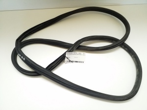 Rear side door seal on the door - 