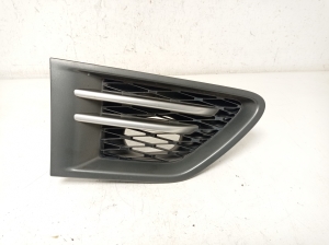   Front wing gill 