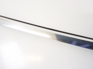  Rear side door strip to glass outer 